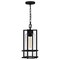 Quoizel Damien 1-Light Earth Black Mini Pendant DMN1507EK - alternate 3